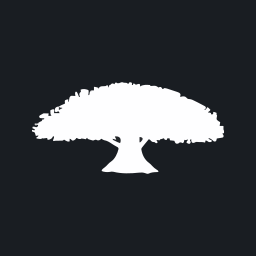 China Ruyi Holdings Logo